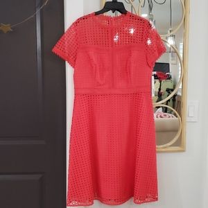 NWT Antonio Melani Stella Lace A-line Dress 12